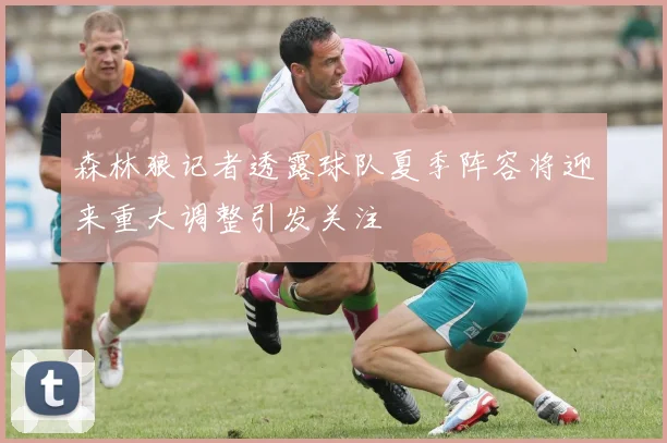 森林狼记者透露球队夏季阵容将迎来重大调整引发关注
